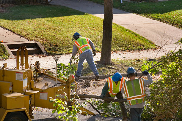 Best Landscape Design and Installation  in Troy, MO